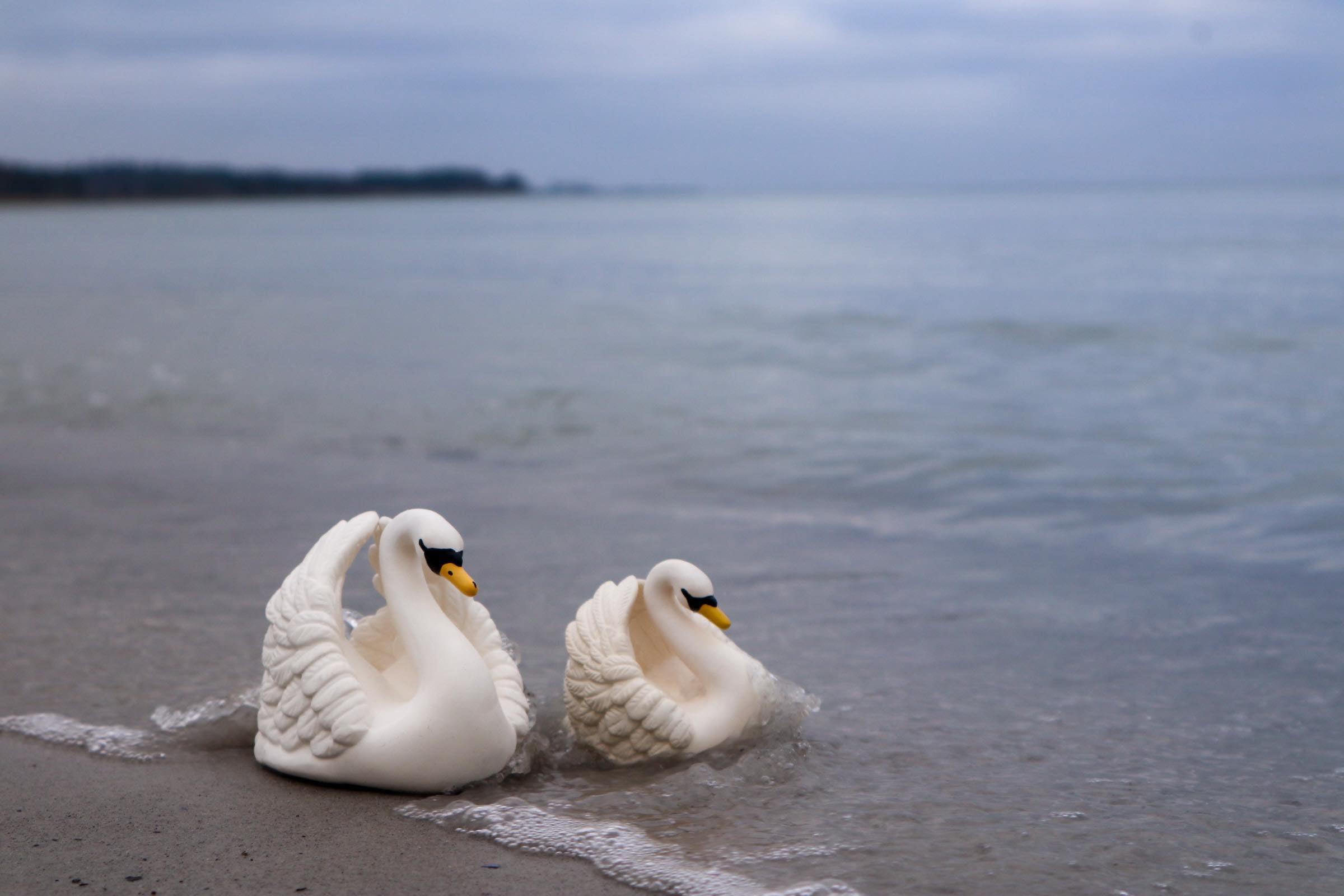 Natruba badleksak i naturgummi - Swan - Large - Badleksak - MamaMilla